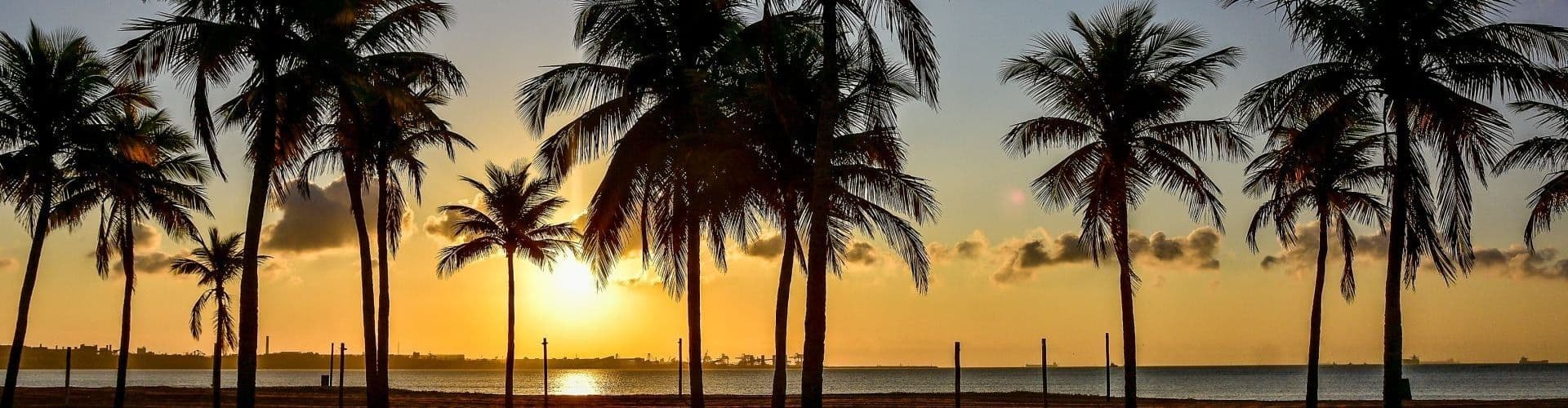 Nascer do sol entre os coqueiros da Orla de Camburi, em Vitória